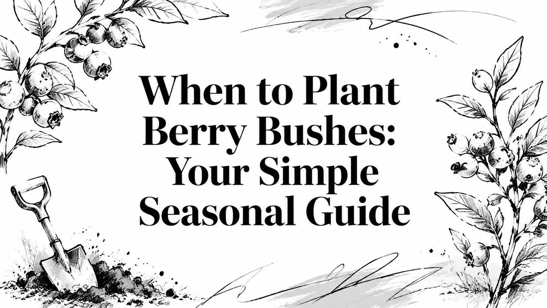 When to Plant Berry Bushes: Your Simple Seasonal Guide