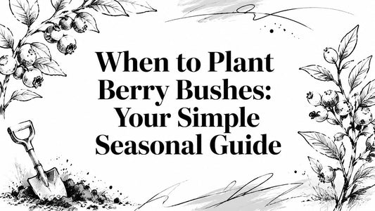 When to Plant Berry Bushes: Your Simple Seasonal Guide