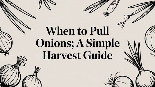When to Pull Onions: A Simple Harvest Guide